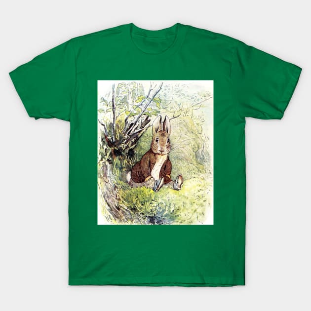 Benjamin Bunny - Beatrix Potter T-Shirt by forgottenbeauty